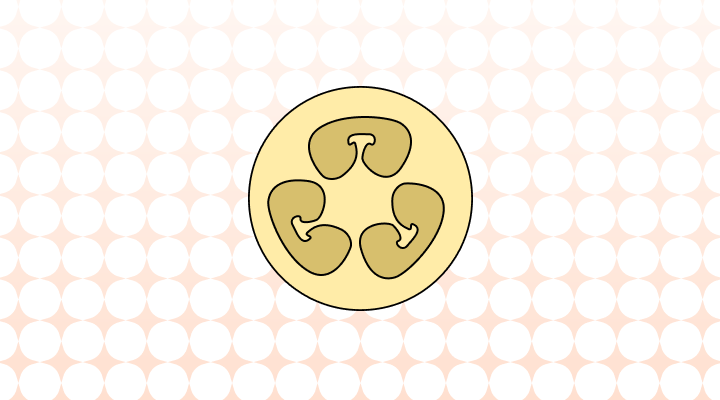 Loofa or Loofah: Which Is Correct?