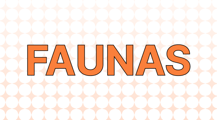 Faunae or Faunas: Which Is Correct?