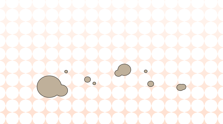 Debree or Debris: Which Is Correct?