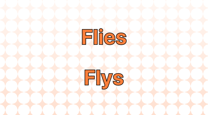 Flies vs. Flys