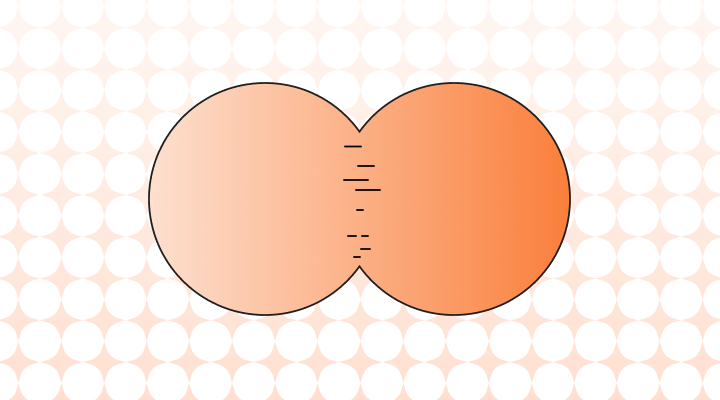How to Correctly Use Adsorption vs. Absorption
