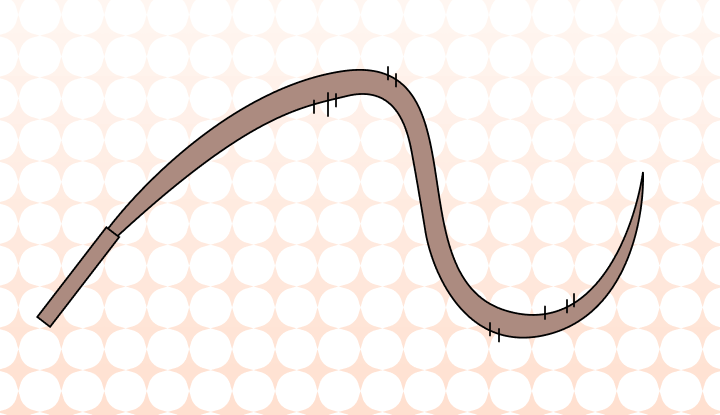 Wipping or Whipping: Which Is Correct?