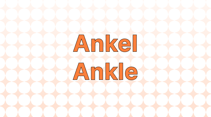 Ankel vs. Ankle: Which is the Correct Spelling?