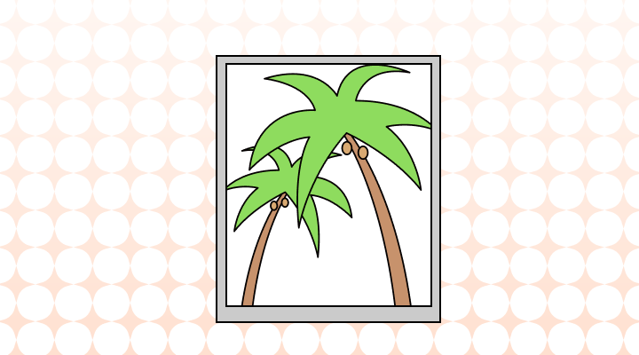 How to Use Picture vs. Photograph in a Sentence